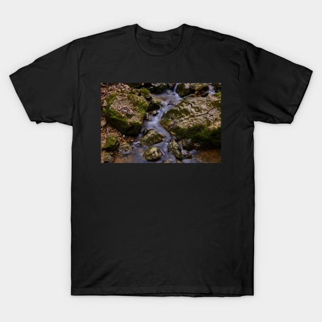 Mountain stream T-Shirt by mbangert